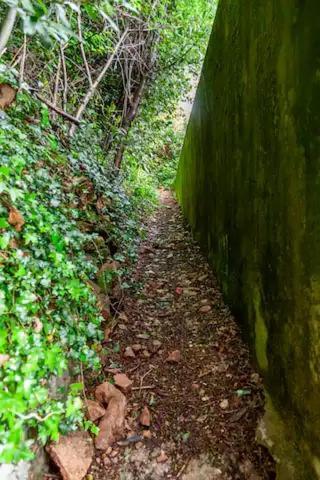 Rifugio Sul Lago Di Lugano A Porto Ceresio Exterior foto